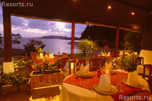 Rocky Resort 42